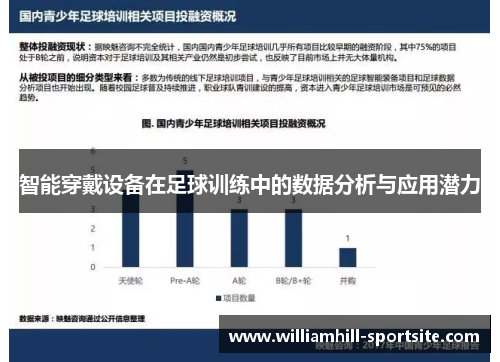 智能穿戴设备在足球训练中的数据分析与应用潜力